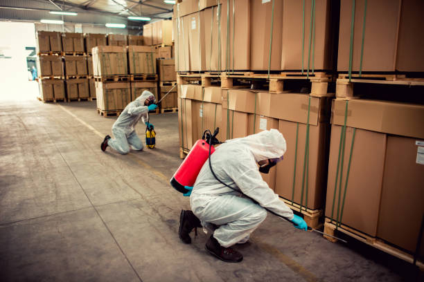 Wildlife Control Services in Richboro, PA
