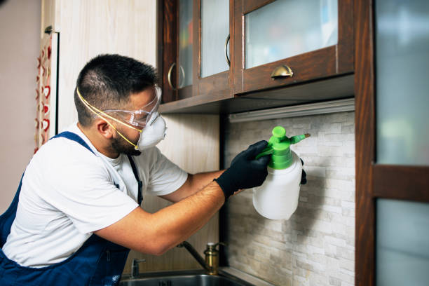 Reliable Richboro, PA Pest Control Solutions