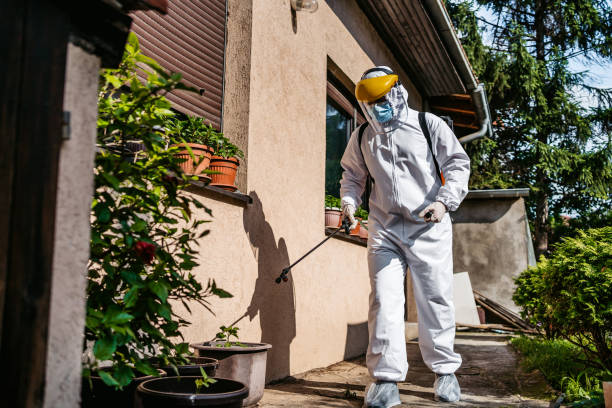 Best Residential Pest Control  in Richboro, PA