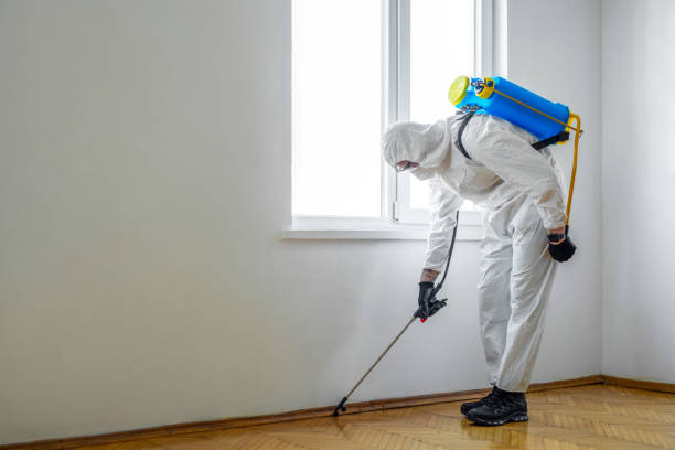 Best Local Pest Control Services  in Richboro, PA