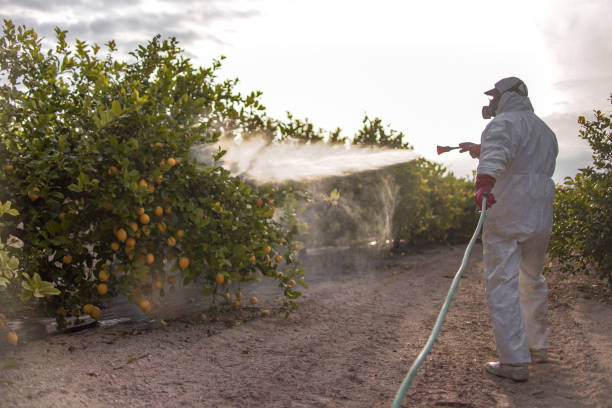Best Affordable Pest Control Services  in Richboro, PA