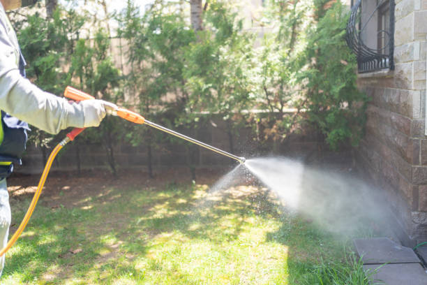 Best Pest Prevention Services  in Richboro, PA