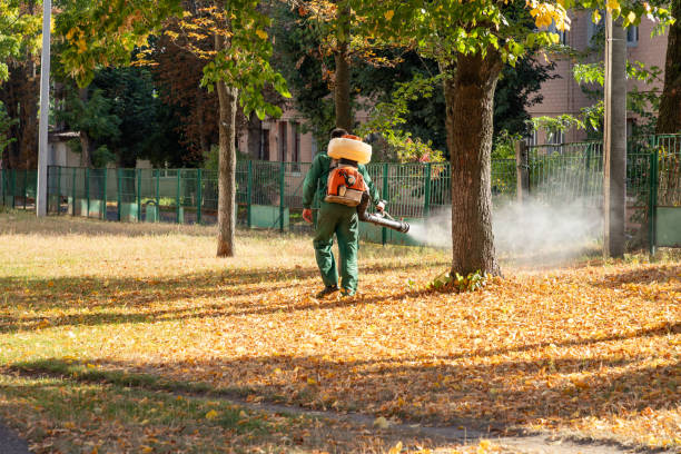 Insect Control in Richboro, PA