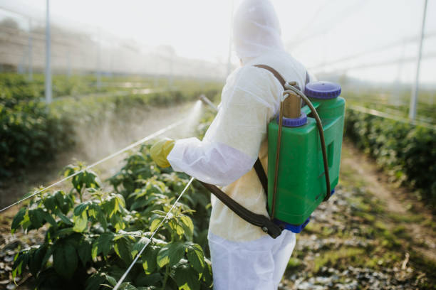 Best Termite Control Services  in Richboro, PA